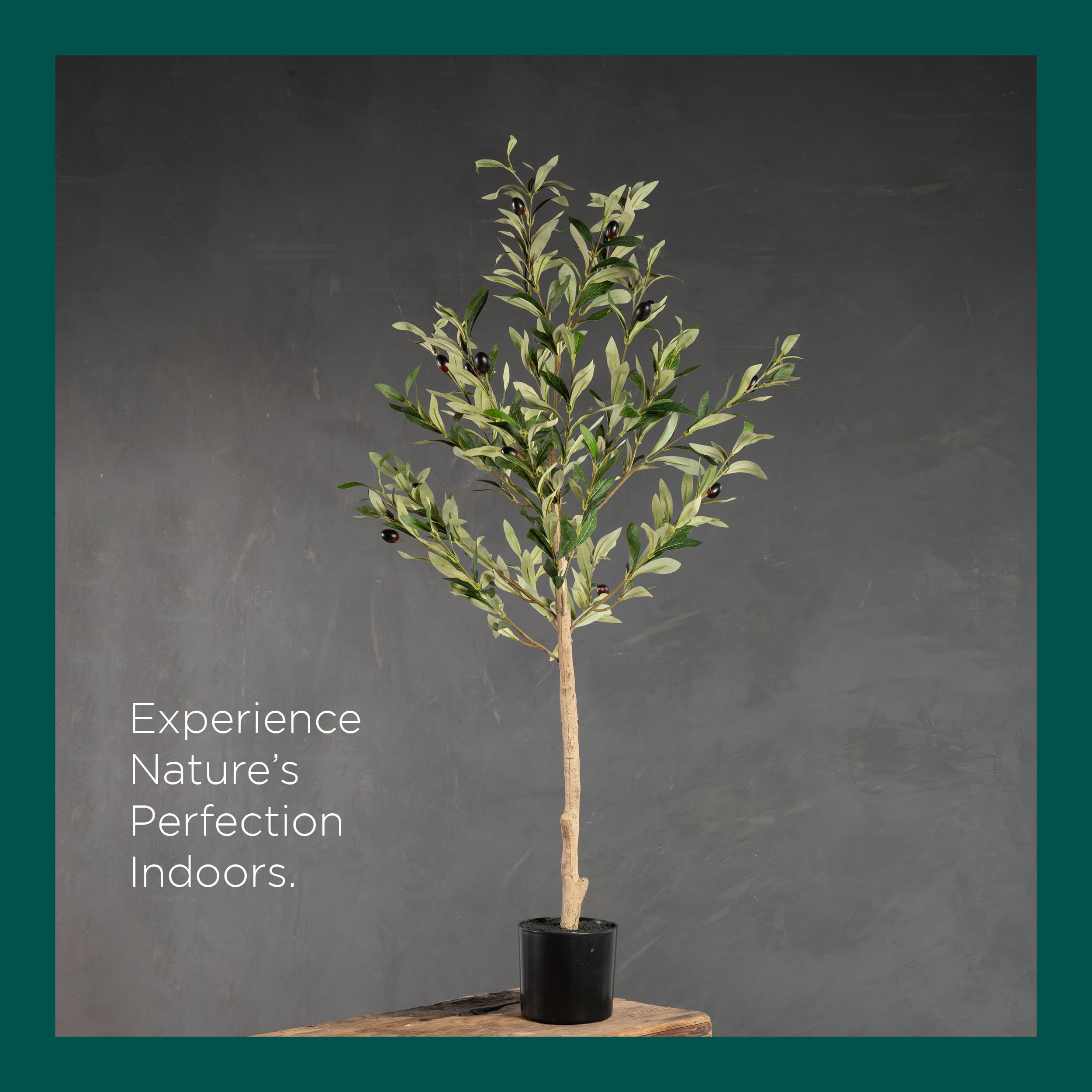 HouzeComfort Artificial Olive Tree Plant - 100cm, Lifelike Indoor